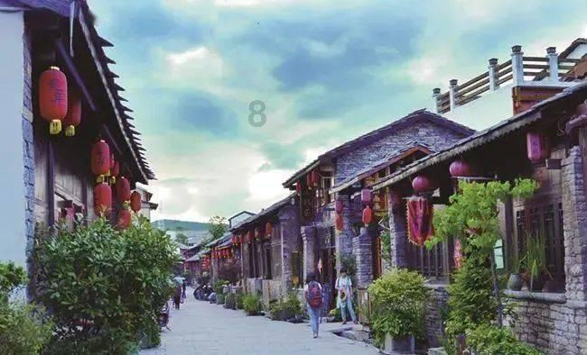 寻找沙漠珍宝